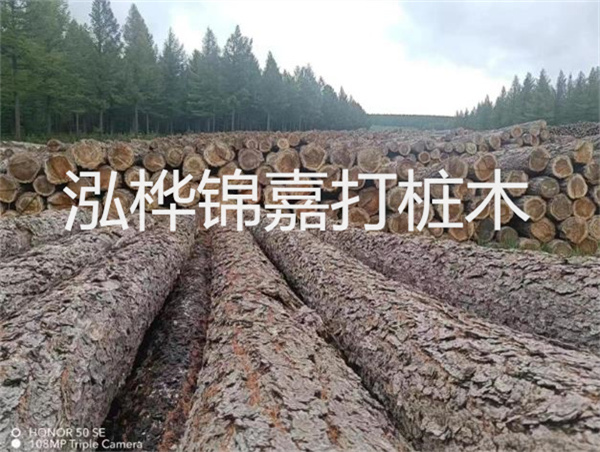 高效施工，圓松木樁助力建筑工程進展順利