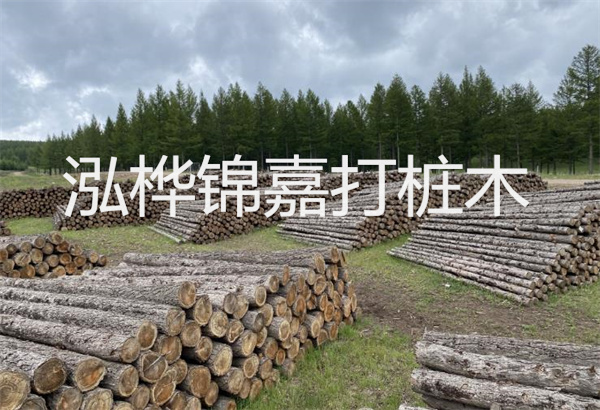 預(yù)制松木樁施工工藝：優(yōu)質(zhì)材料，高效快速，堅(jiān)固耐用