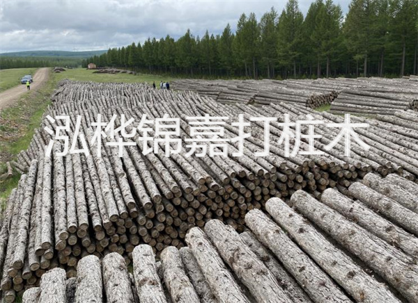 松木樁施工機(jī)械河到，輕松解決施工難題