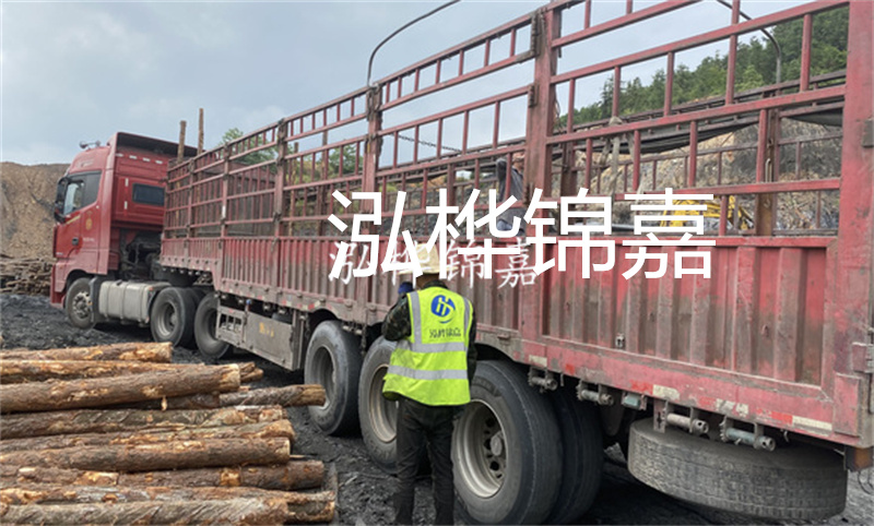 定安河道仿松木樁施工，打造環(huán)保生態(tài)水域