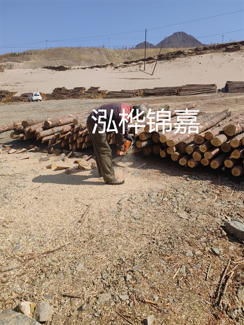 高效施工，松木樁駁岸助力瀝青工程完美呈現(xiàn)