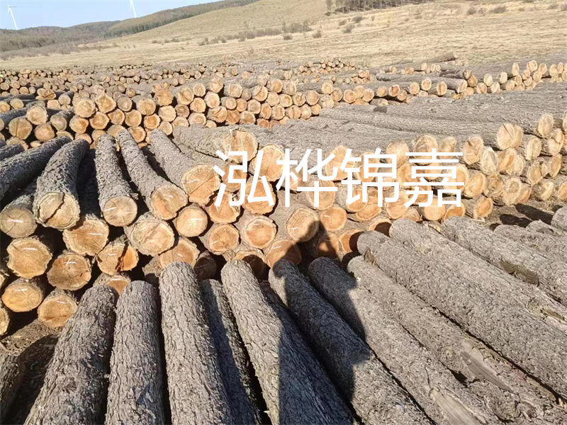 鹽城松木樁河道圍堰施工，保護(hù)生態(tài)環(huán)境，打造美麗城市